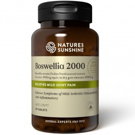 Boswellia 2000 - 2g 90Tabs