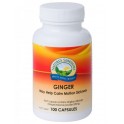 Ginger (Zingiber officinale) 525mg